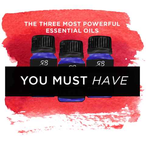 Digestion Essential Oils 3 Set gift by nature