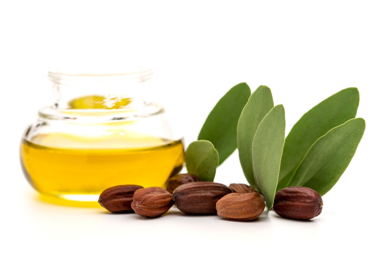 Molivera Organics Molivera Organics Pure Jojoba Oil