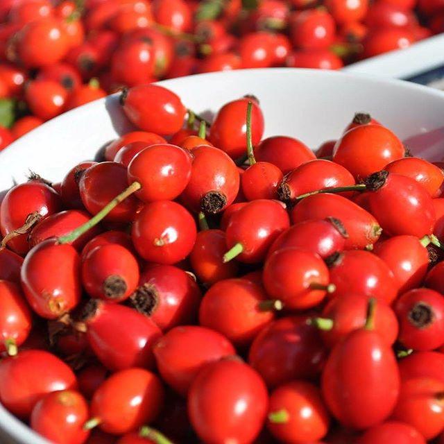 9 Fascinating Rosehip Oil Benefits and Uses