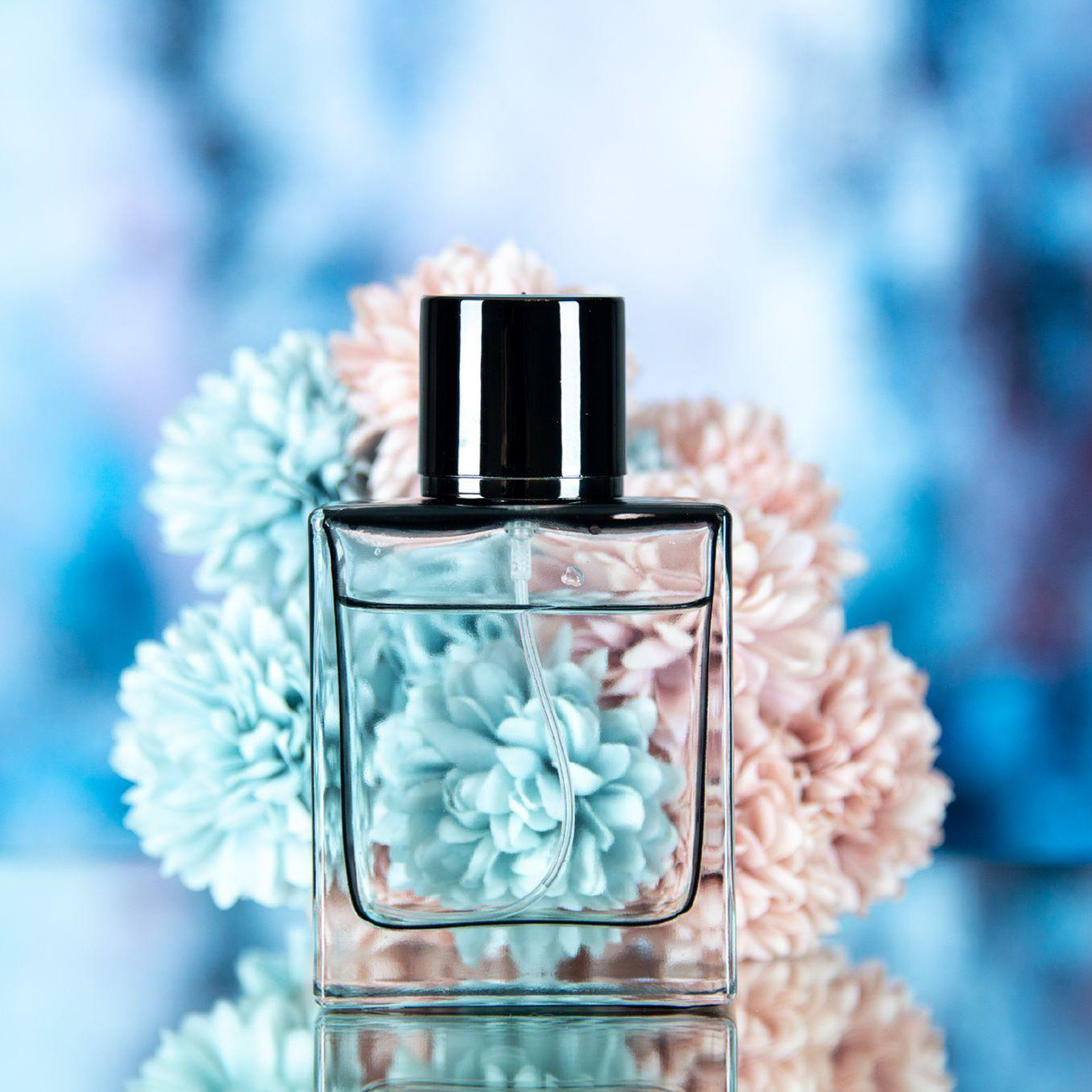 Perfume outlet online shop