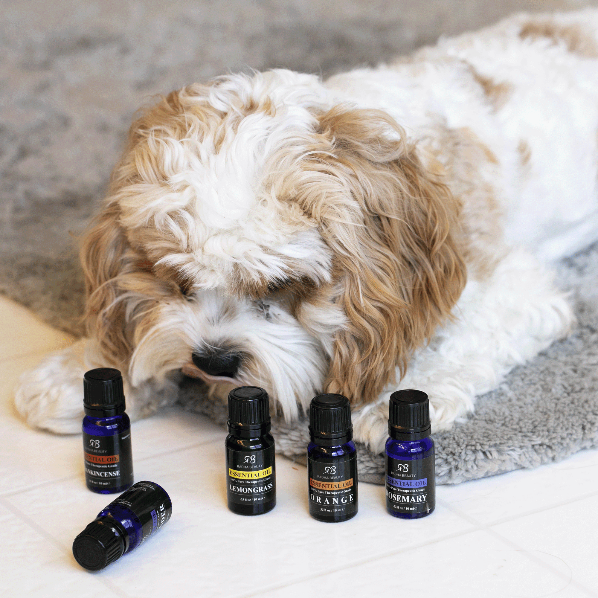 Toxic Essential Oils for Pets