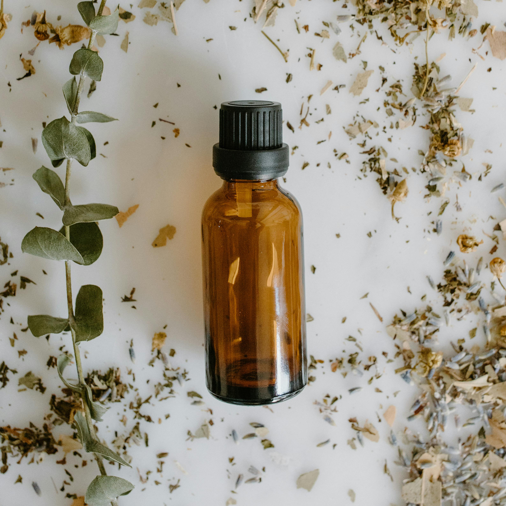 College Aromatherapy: Using Essential Oils to Adjust to Dorm Living