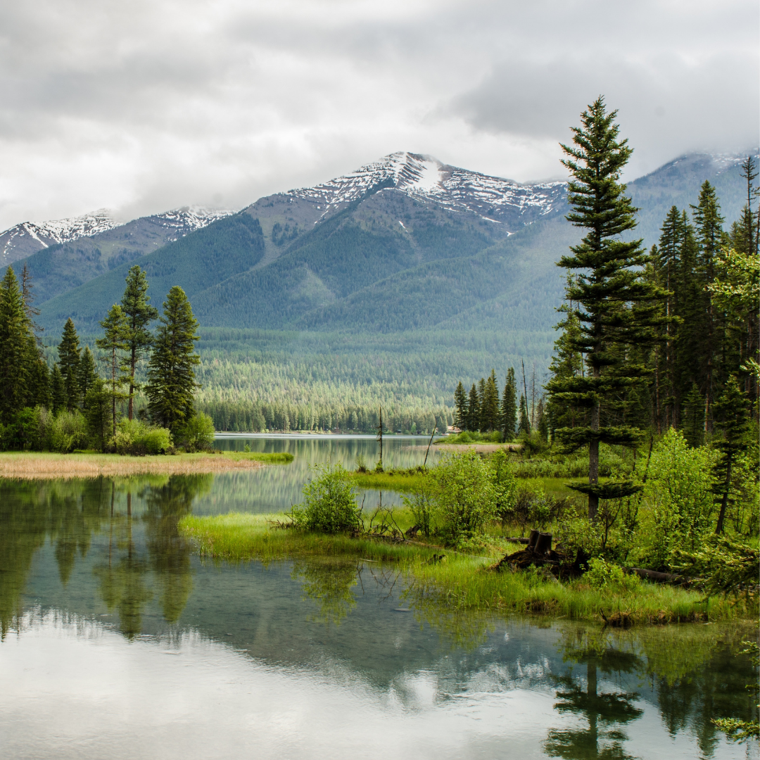 Celebrating Earth Day with Yoga Flows