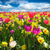 Spring Diffuser Blends