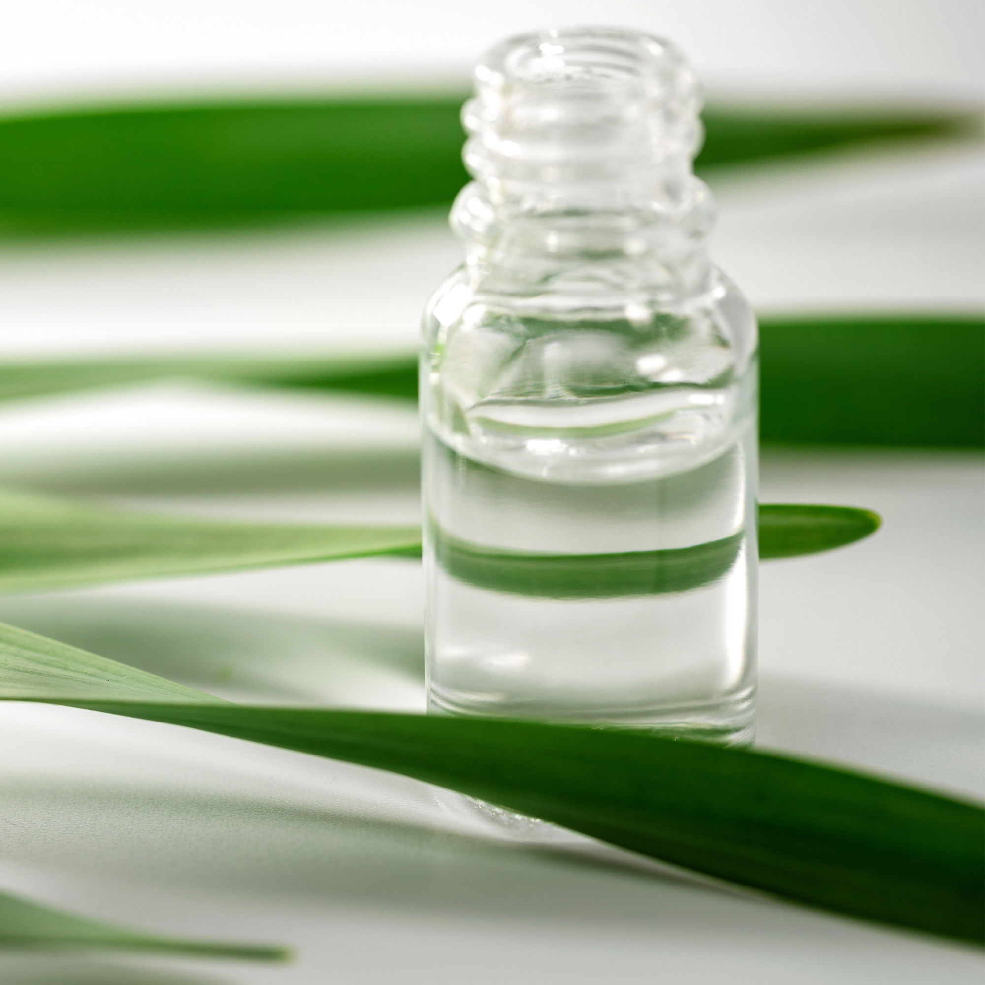 Tea Tree Oil