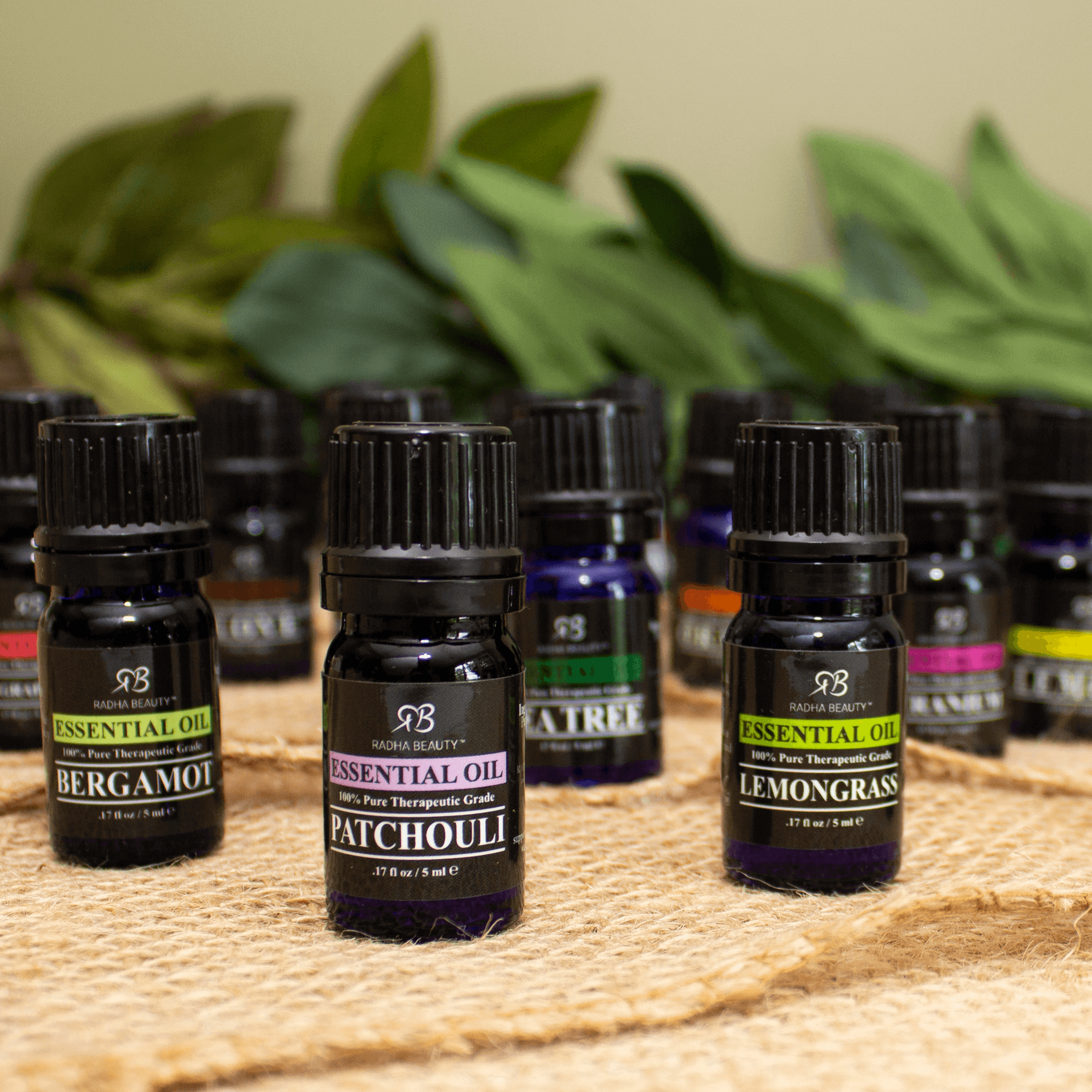 Assorted Essential Oils (Set Of 6)